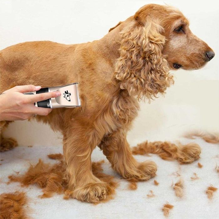 Masina De tuns animale