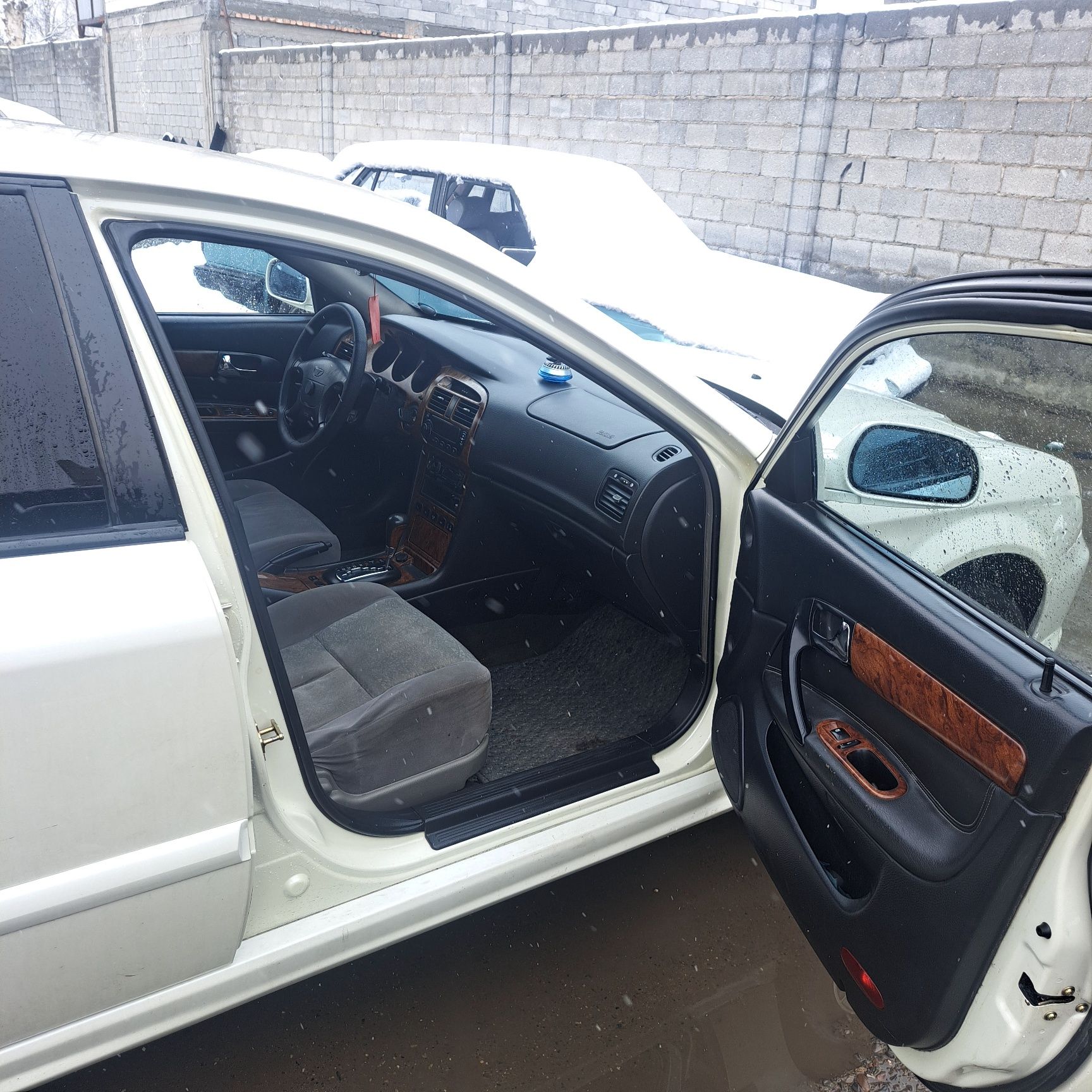 Daewoo    magnus