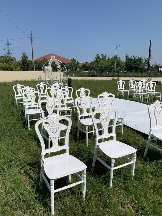 Vand scaune evenimente