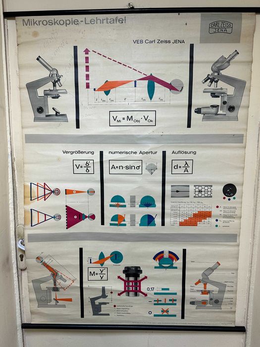 Соц Учебни Плакати Постери Ботаника