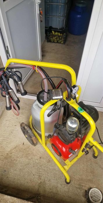 Mulgatoare automata vaci