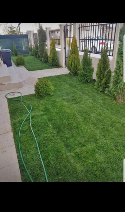 Gazon rulou sport/ tuia smaragd/ piatra alba decorativa
