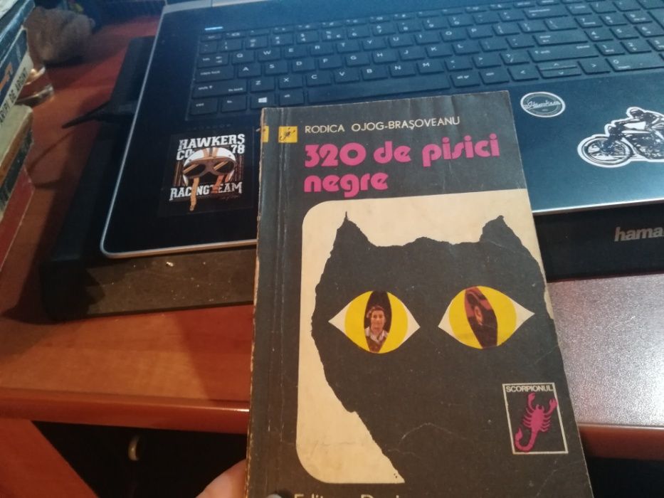 320 de Pisici Negre, Rodica Ojog Brasoveanu, Editura Dacia, 1979