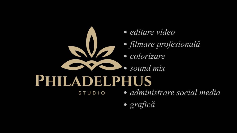 Editare, producție video + management de conținut - nivel profesionist