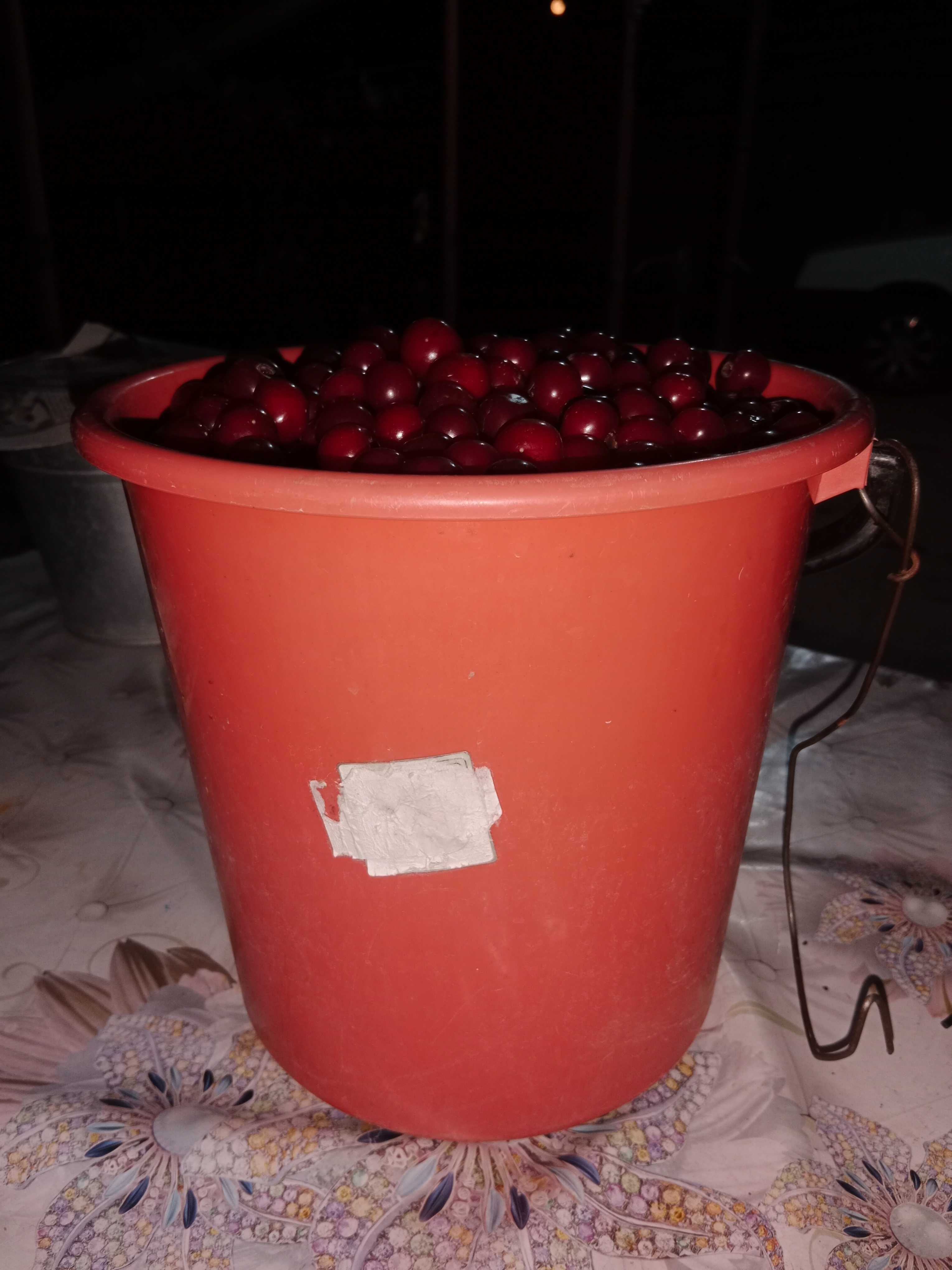 Продаю свежую вишню
