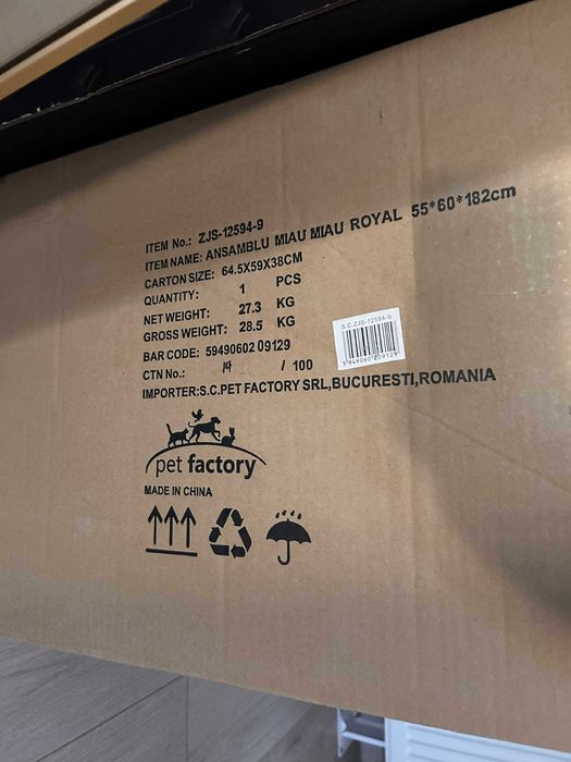 Vand ansamblu pisici