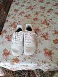 Adidași  purtați de câteva ori ,curățați și dezinfectați