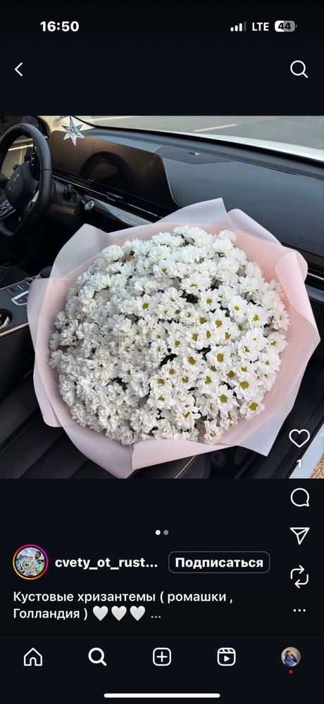букет ромашки атиргул 101 талик