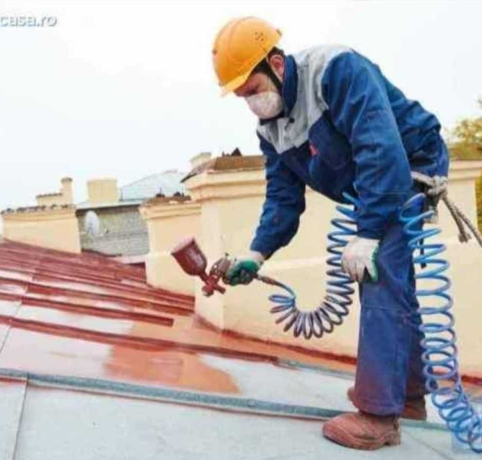 Meseris vopsitor acoperisuri, alpinist utilitar, reparatii, dulgherie