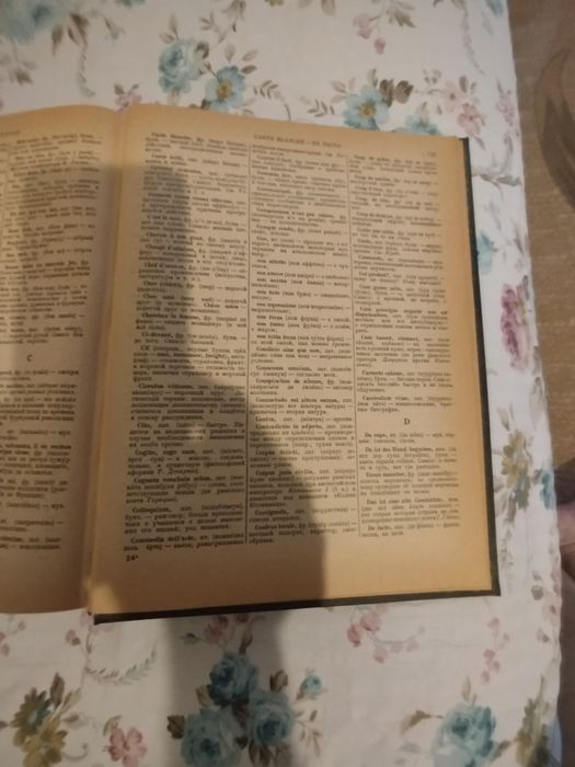 Enciclopedia rusească