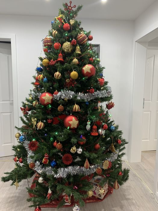 Brad cu conuri si fructe rosii 2,3 m