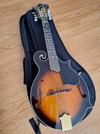 Vand mandolina noua
