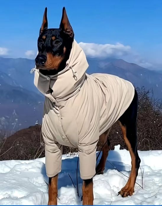 Продам куртку для небольших собак