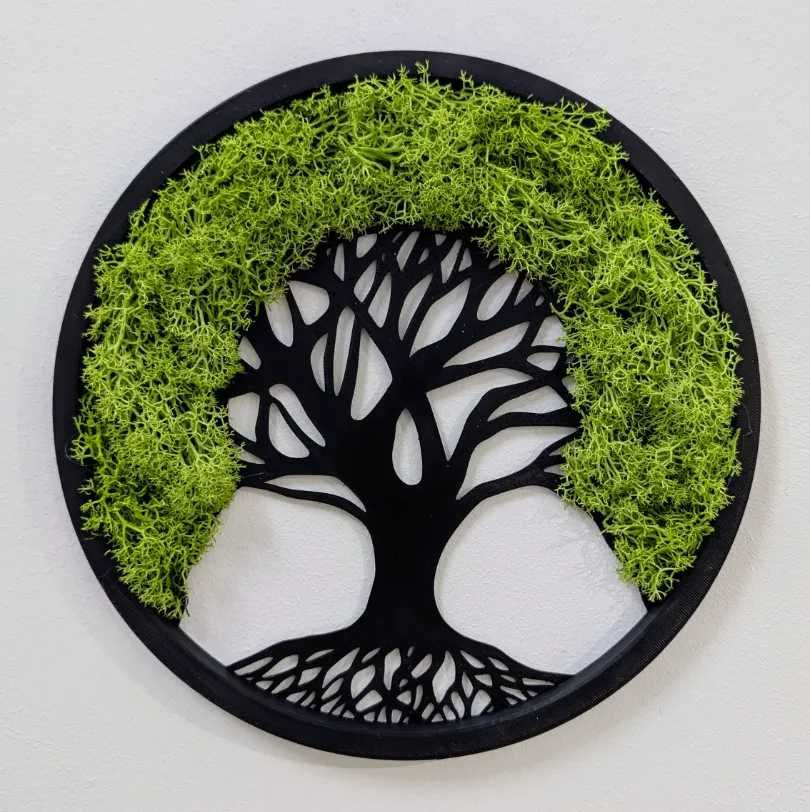 Rame pentru tablouri 3D personalizabile cu licheni
