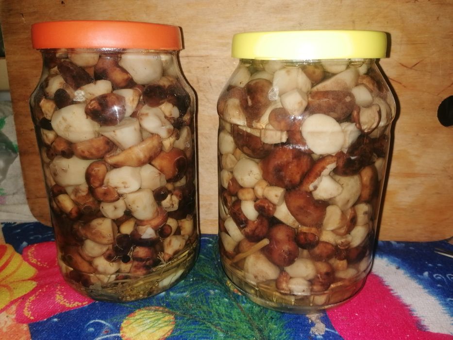 Продам грибы  валуи