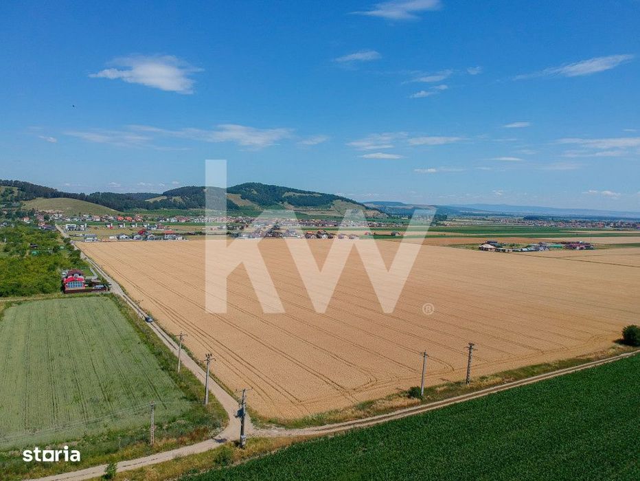 Teren Sanpetru, drum spre Harman, potential rezidential, 9300 mp, COMI