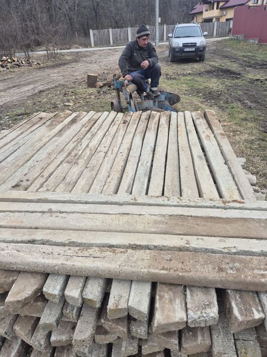 Găga cu motanu vinde spalieri