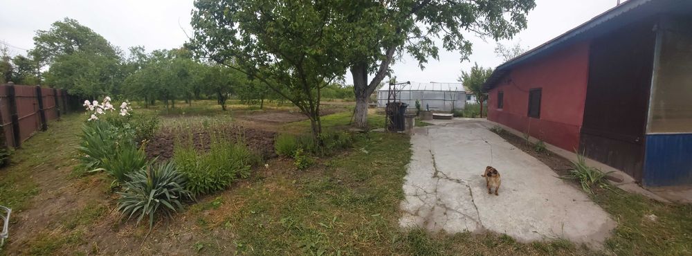 Casă la țară în Răsuceni Giurgiu