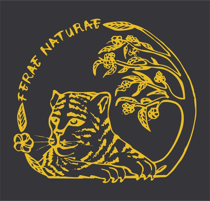 Afacere la cheie – Cosmetice naturale, marcă proprie & magazin online