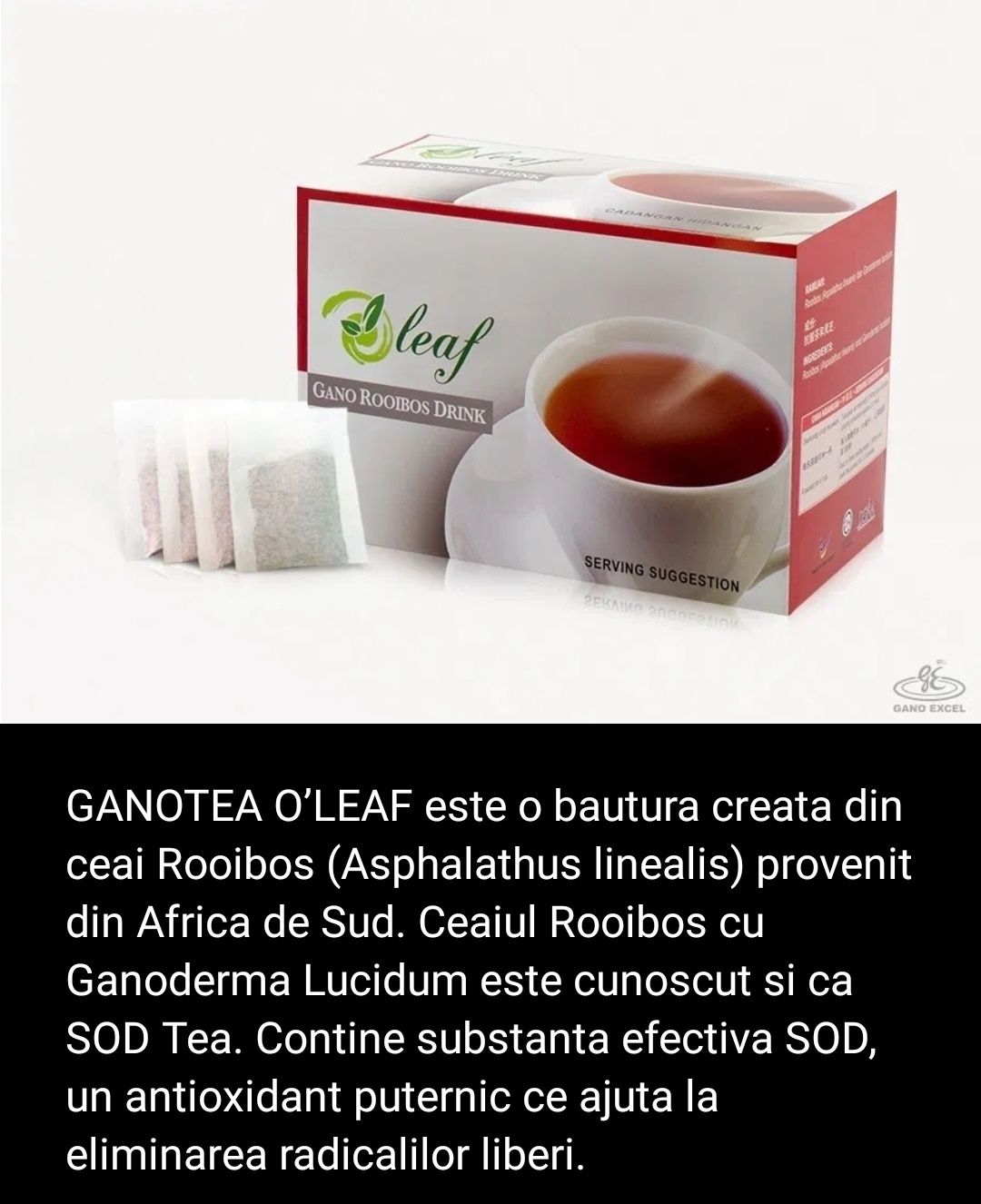 Oleaf Gano Rooibos Drink