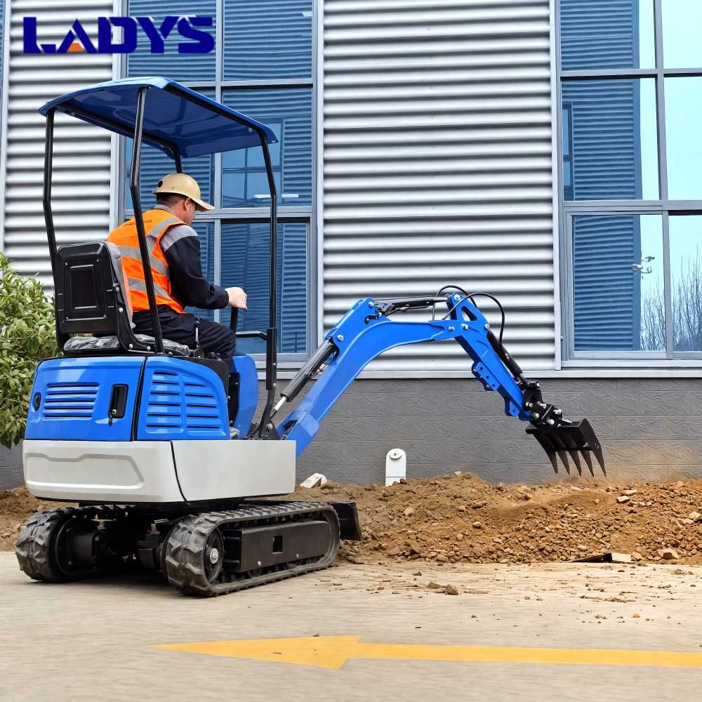 Мини багер LADYS DY12 за продажба, директни продажби от фабриката