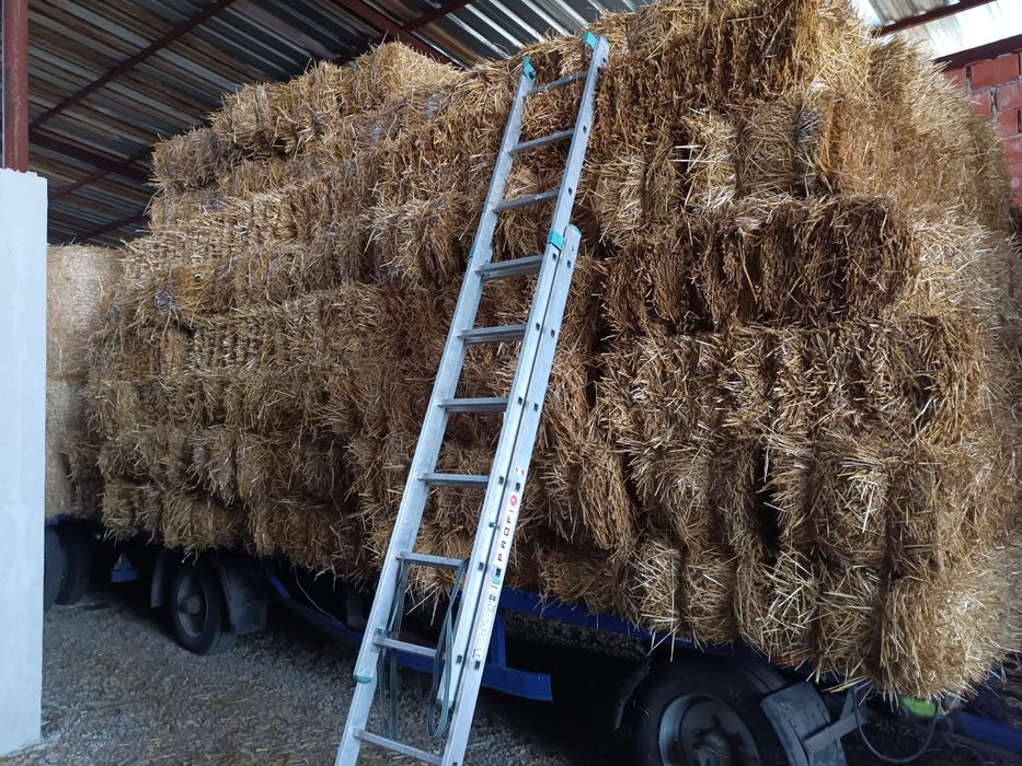 Baloți de tulei, tocătură și de paie