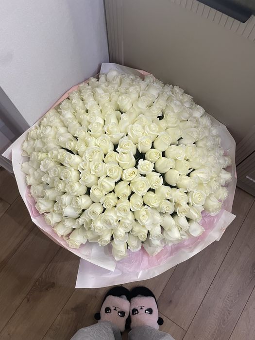 Свежые сегодня получила ( срочно)