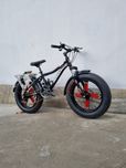 Velik 20 sakadiska