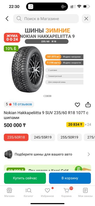 зимние шины Nokian R18