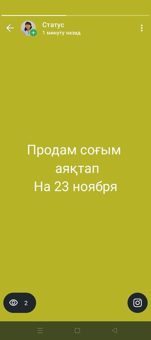 Продам согым конина 2900за кг