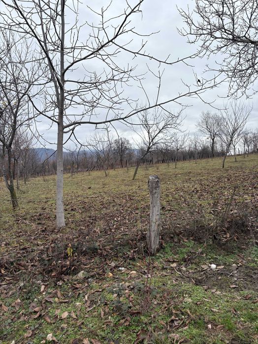 Teren Intravilan Baia de Fier