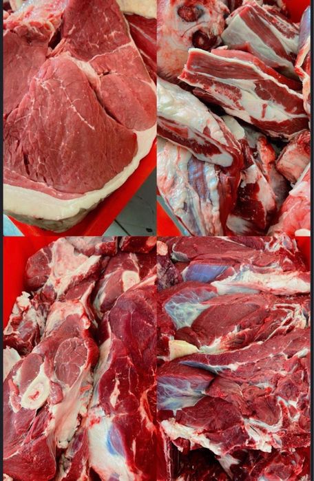 Сиыр еті, жас мал, қасаптау, мясо говядины