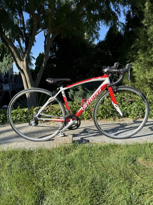 cursiera specialized elite