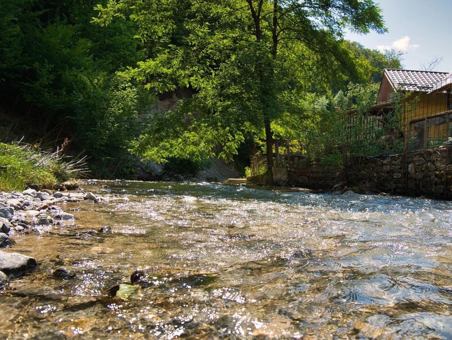 Cabana rustica de inchiriat