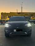 byd champion restyling