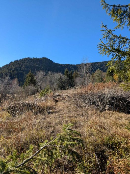 Парцел в курортно ядро Смолянски езера