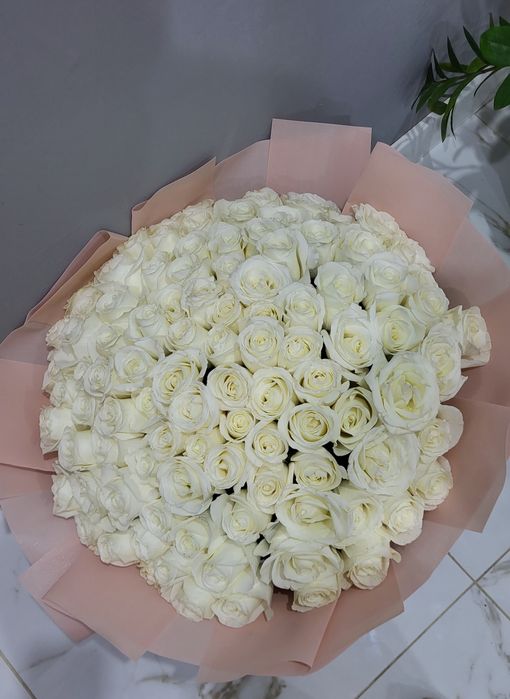 101 свежых белых роз
