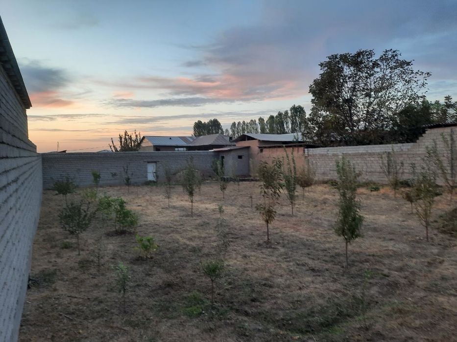 Уй сотилади 8 Сотих Паркент Култепа