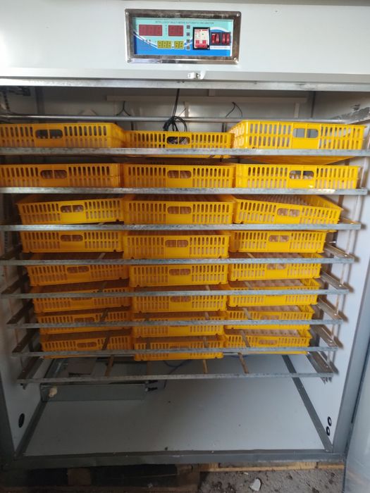Vand incubator oua