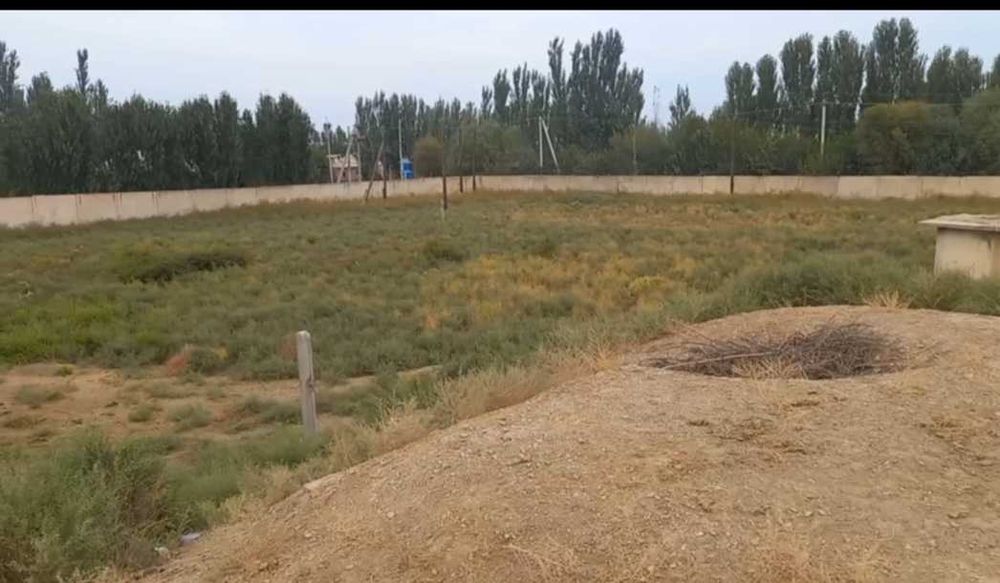 Yer bor 1 gektar Тадбиркорлар бн хамкорлик килинади