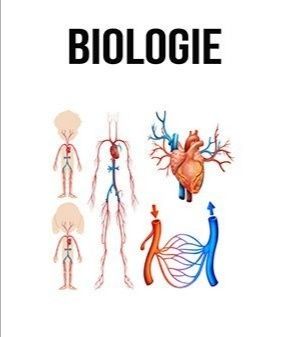 Meditații biologie vegetala (9-10), anatomie si genetica(11-12)