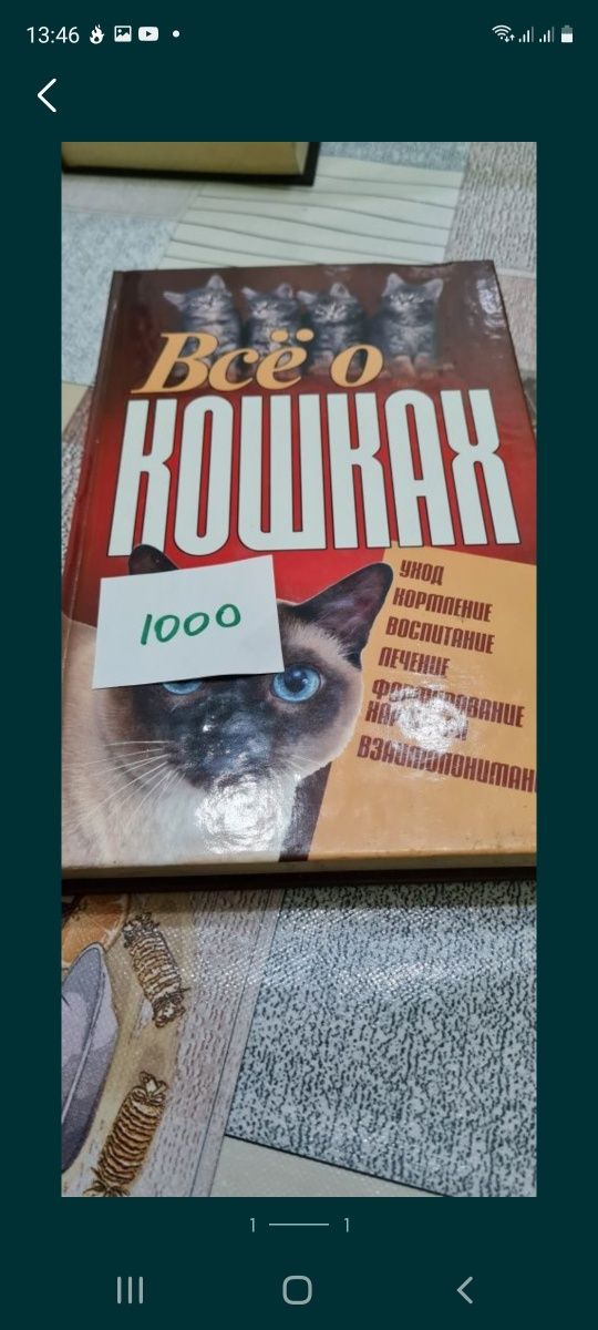 Книга все  кошках