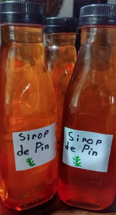 Sirop de muguri de pin facut in casa...500ml