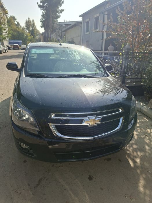 Cobalt midnight 2025