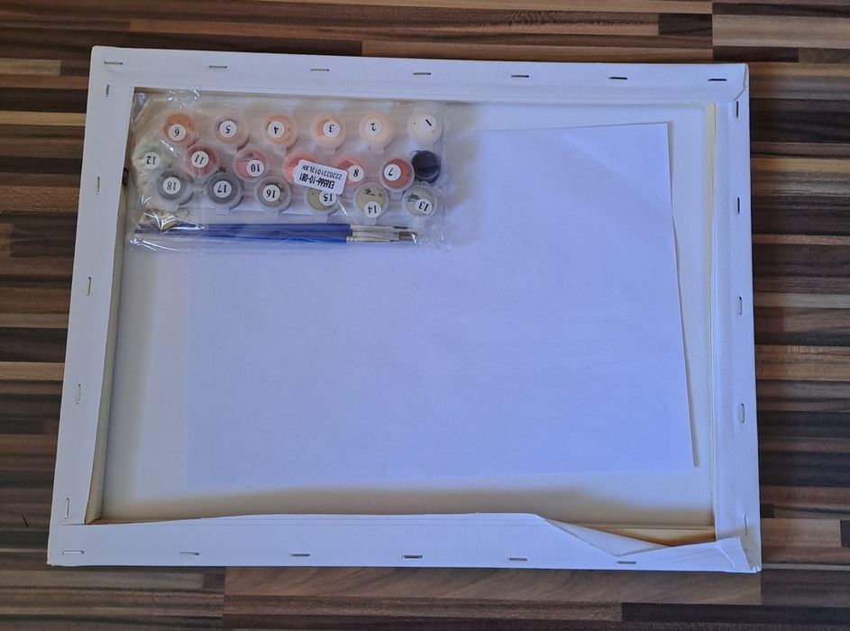 !!Намаление!! Комплект "Рисуване по номера" момиче с рози