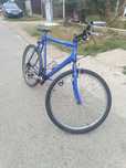 Bicicleta raleigh