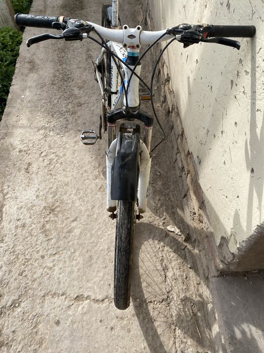 velosiped holati yanggi