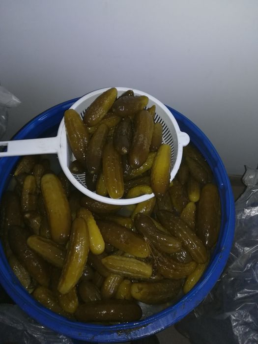 Vând castraveți murați