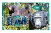 Super timbre colita Gabon fauna animale maimute cimpanzeu