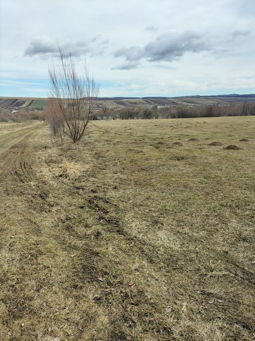 Teren de vânzare Oșlobeni